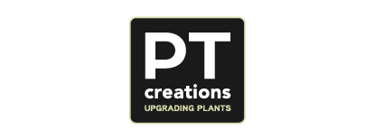 pt creations logo ferry verbeek plantengroothandel